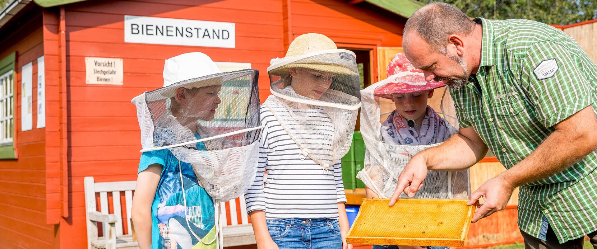 Mit unserem Parkförster lernen die Kinder das Leben im Bienenhaus und im Insektenhotel kennen.
