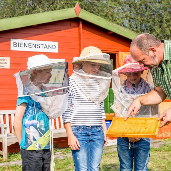 Logo von Ferienspaß am Dienstag