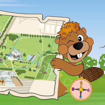 Muttertiere, Hirsche und Kälbchen im Damwildgehege