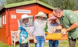 Mit unserem Parkförster lernen die Kinder das Leben im Bienenhaus und im Insektenhotel kennen.