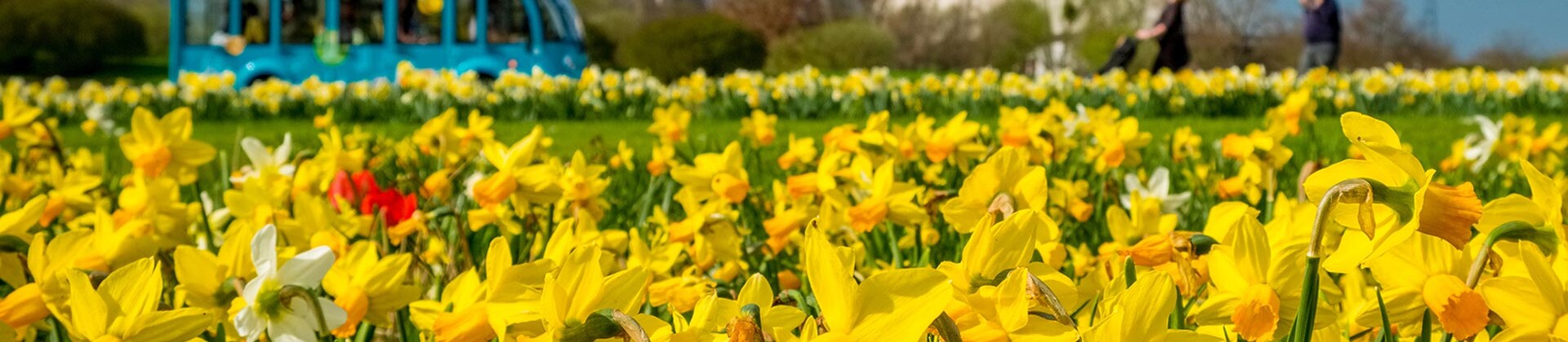 Logo von Garten & Blumenschauen